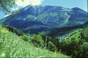 d6tschersommer.jpg.173844.jpg