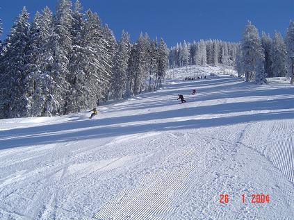 dsc00954.jpg
