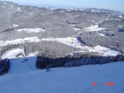 dsc00962.jpg